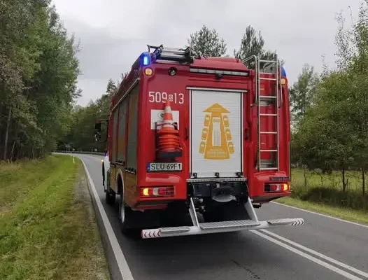 Przewrócone drzewo blokowało drogę wojewódzką 905 w Boronowie