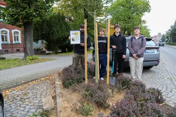 Lubliniec: 10 miłorzębów posadzonych przez 10 szkół przy ul. Paderewskiego