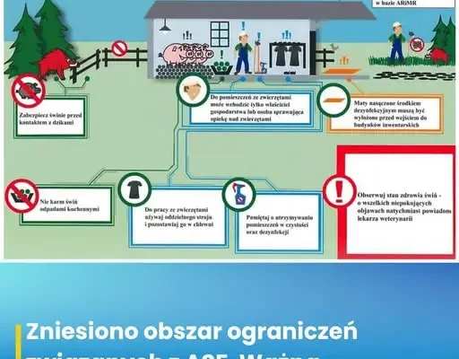 ASF: zniesiono obszar ograniczeń na Śląsku – co to oznacza dla rolników?
