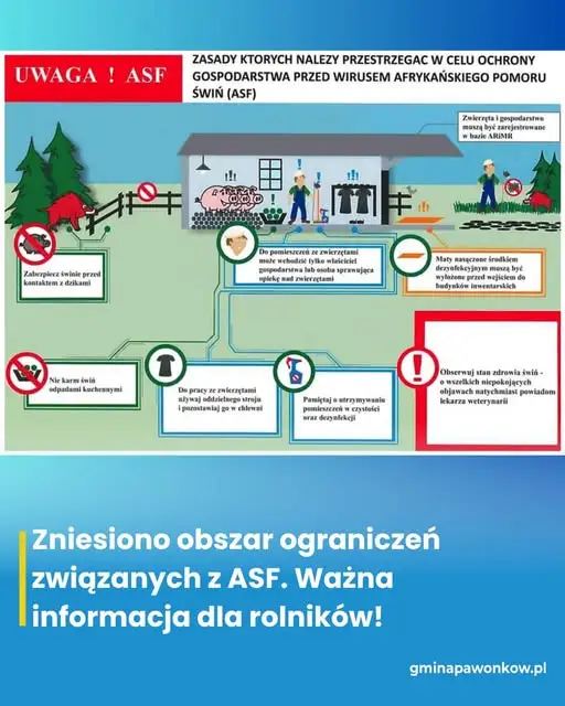 ASF: zniesiono obszar ograniczeń na Śląsku – co to oznacza dla rolników?